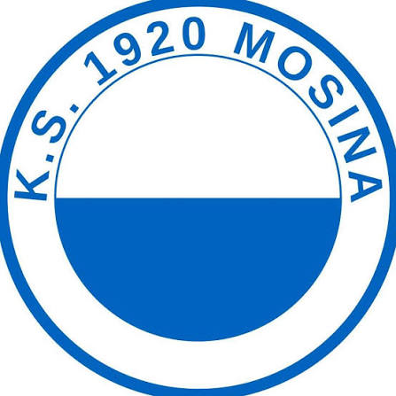 Herb 1920 Mosina