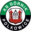 Herb Górnik Polkowice